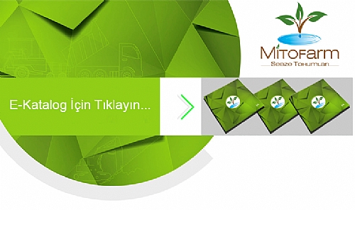 2018 - 2019 Kataloumuz Yaynland!