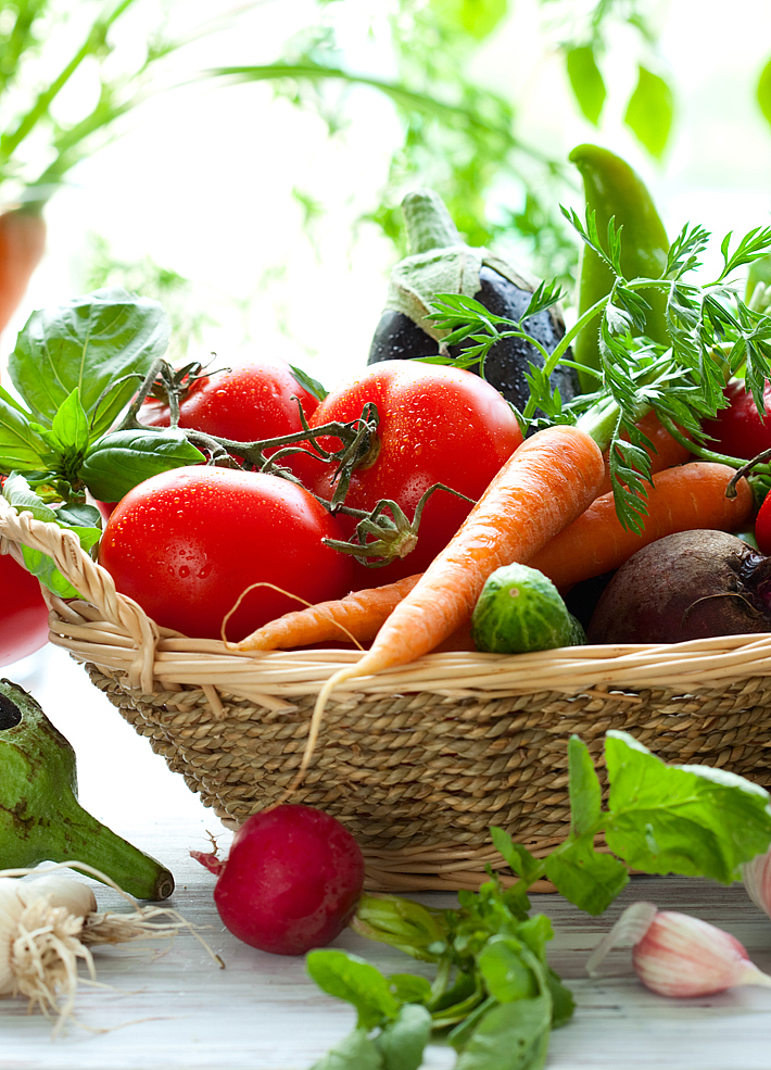 Hibrit Sebze Tohumlar